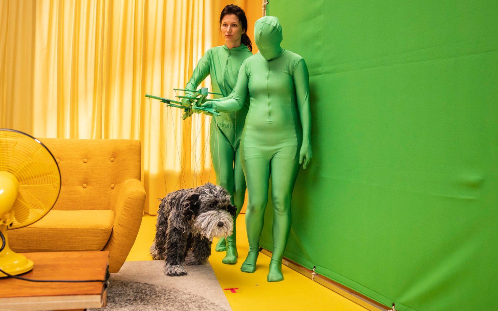 AA